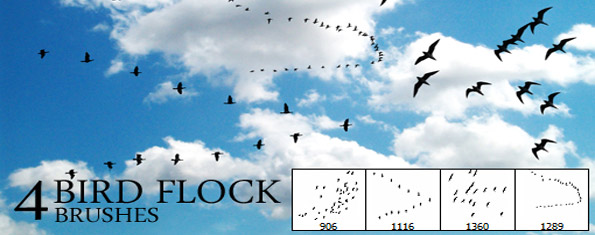 brush photoshop 4 Bird Flock Brushes brush photoshop 4 Bird Flock Brushes