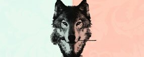 Brush photoshop Wolf Brush