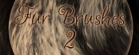 Brush photoshop Brushes Fur part 2